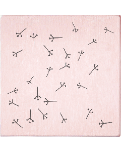 May & Berry Stamp - Dandelion